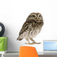 Little Owl Wall Decal