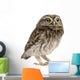 Little Owl Wall Decal