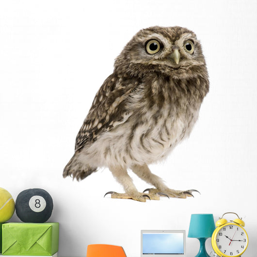 Little Owl Wall Decal