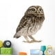 Little Owl Wall Decal