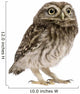 Little Owl Wall Decal