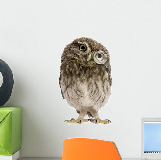 Little Owl Wearing Magnifying Glass Athene Noctua Wall Decal