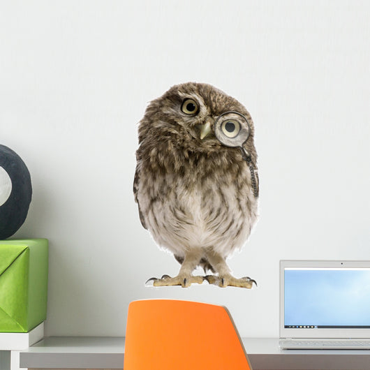 Little Owl Wearing Magnifying Glass Athene Noctua Wall Decal