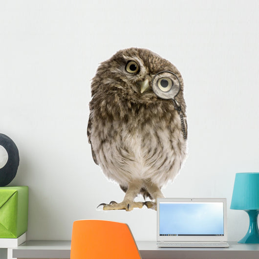 Little Owl Wearing Magnifying Glass Athene Noctua Wall Decal