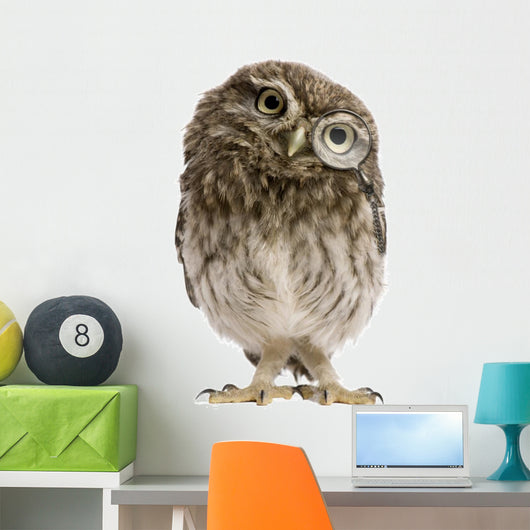 Little Owl Wearing Magnifying Glass Athene Noctua Wall Decal