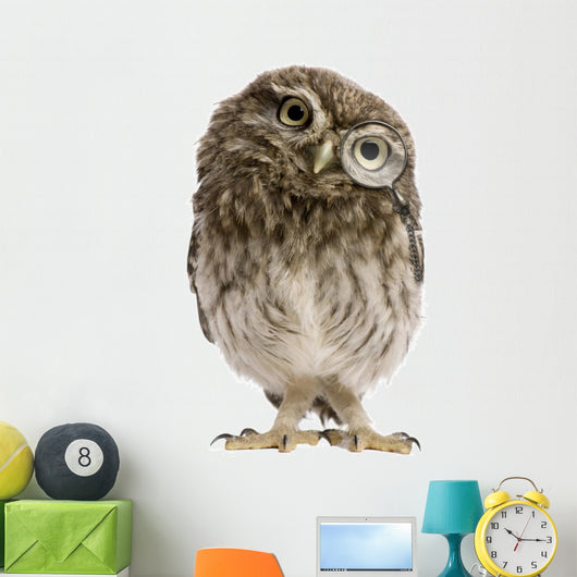 Little Owl Wearing Magnifying Glass Athene Noctua Wall Decal