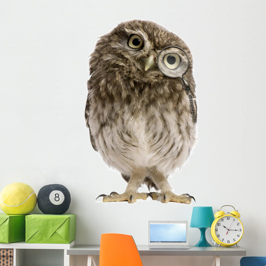 Little Owl Wearing Magnifying Glass Athene Noctua Wall Decal