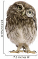 Little Owl Wearing Magnifying Glass Athene Noctua Wall Decal