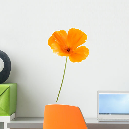 Eschscholzia californica Wall Decal