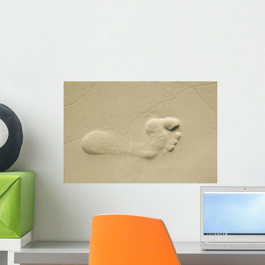 Foot Wall Mural