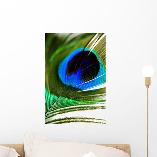 Peacock Feather Wall Mural