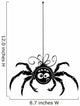 Spider Contour Wall Decal