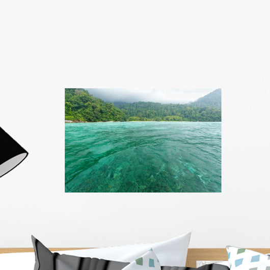 Wild Tropical Sea Tioman