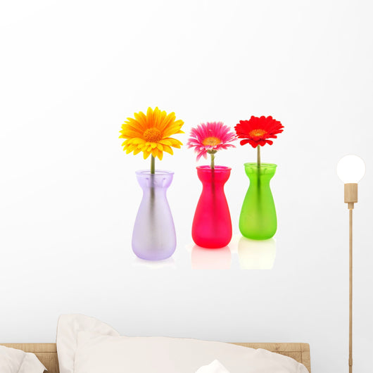 Colorful Gerber Flowers