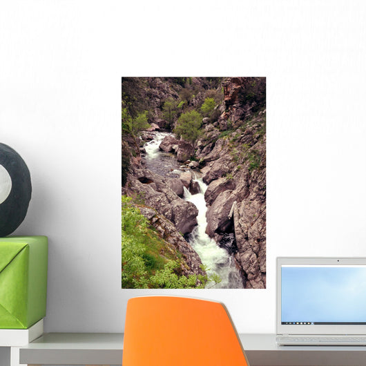 Torrent Wall Mural