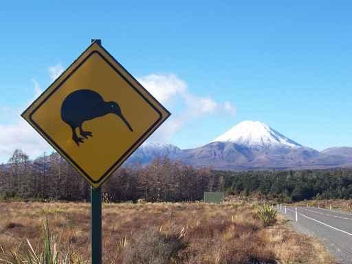 Panel Kiwi near Volcano Wall Decal