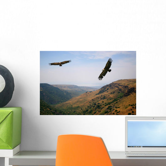 Eagle Above the Valley Wall Mural