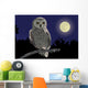 owl Wall Mural