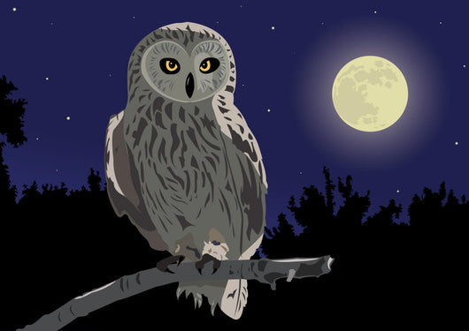 owl Wall Mural