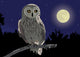 owl Wall Mural