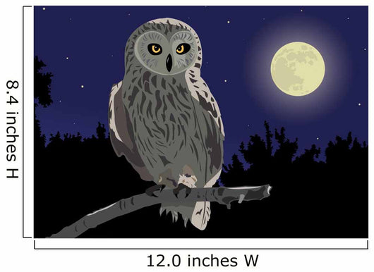 owl Wall Mural