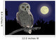 owl Wall Mural