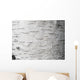 Birch bark - birch bark Wall Mural