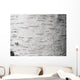 Birch bark - birch bark Wall Mural