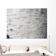 Birch bark - birch bark Wall Mural