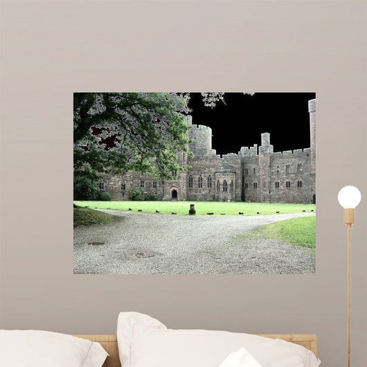 Castle Darkness Wall Mural