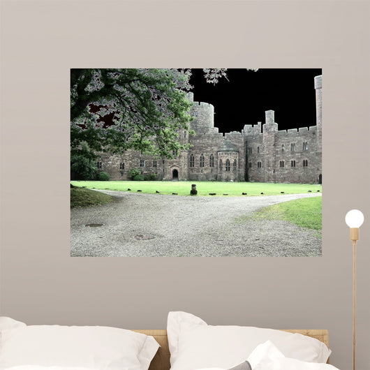 Castle Darkness Wall Mural