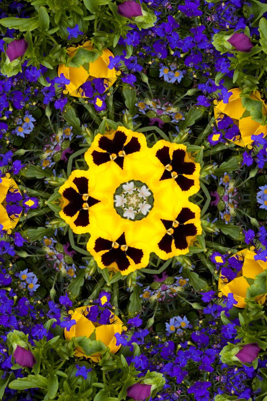 Flower Kaleidoscope Resembling a Mandala Wall Mural