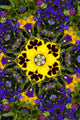 Flower Kaleidoscope Resembling a Mandala Wall Mural
