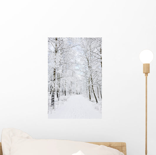 Winter footpaths Wall Mural
