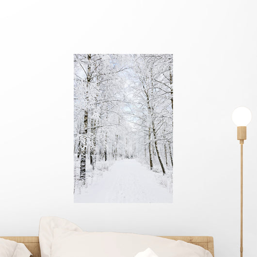 Winter footpaths Wall Mural