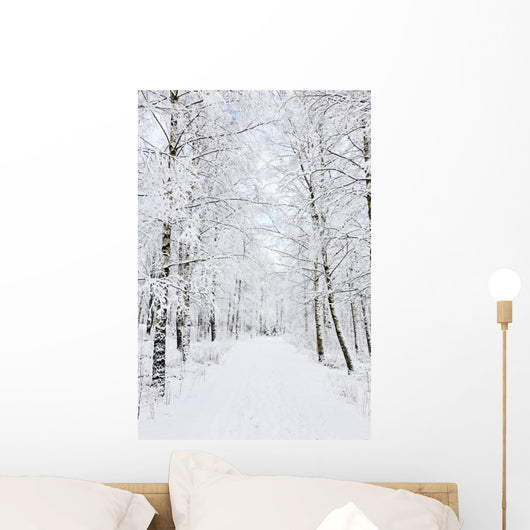 Winter footpaths Wall Mural