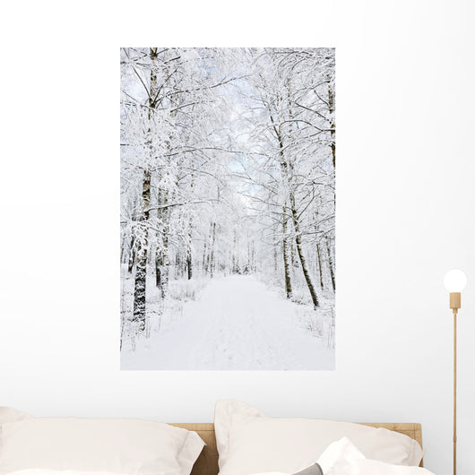Winter footpaths Wall Mural