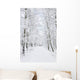 Winter footpaths Wall Mural