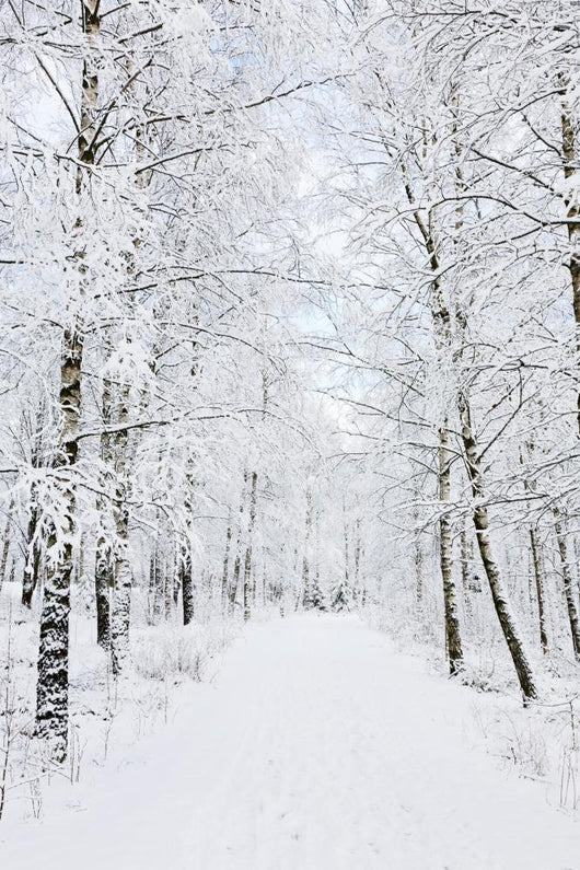 Winter footpaths Wall Mural
