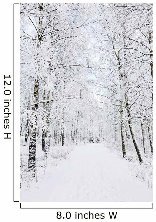 Winter footpaths Wall Mural