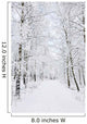 Winter footpaths Wall Mural