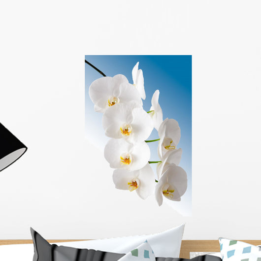 Weisse Orchidee Wall Mural