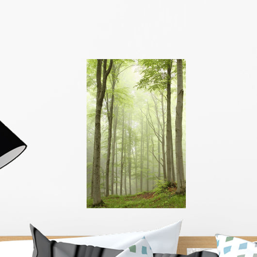 Enchanted forest with mist moving between the trees Wall Mural