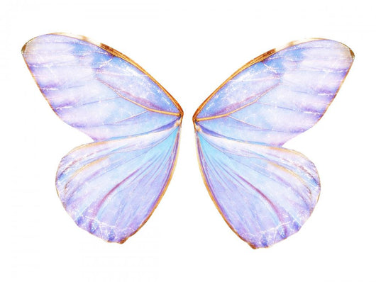 Fairy Wings Wall Decal