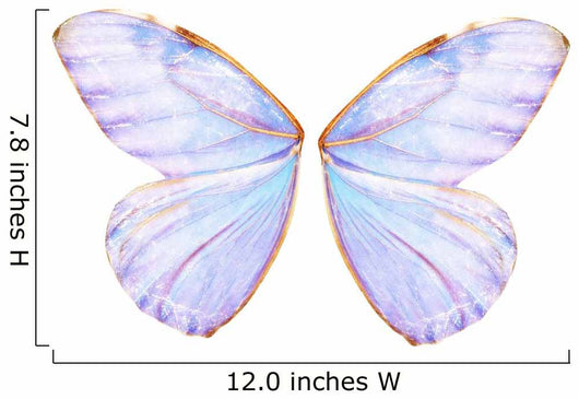 Fairy Wings Wall Decal
