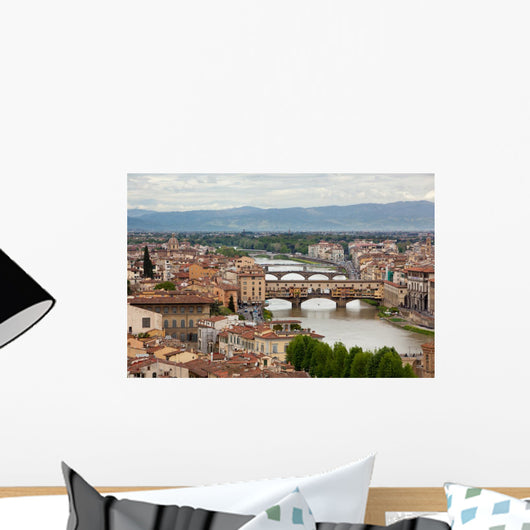 Arno river, Florence, Italy Wall Mural