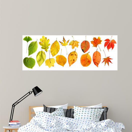 Rainbow Autumn Leaves Wall Stickers