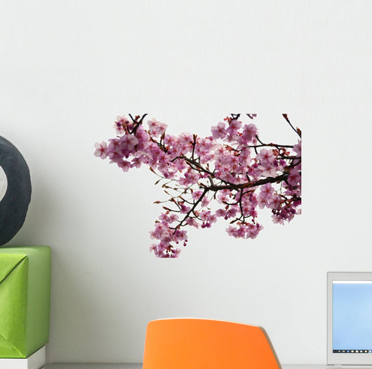 Cherry Blossoms Wall Decal