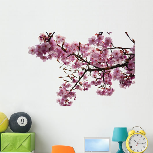 Cherry Blossoms Wall Decal