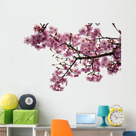 Cherry Blossoms Wall Decal